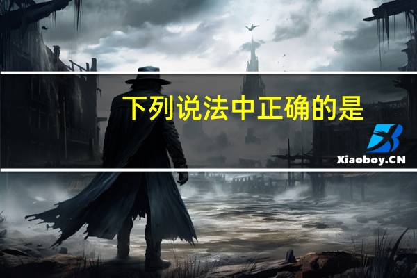 下列说法中正确的是(　　)